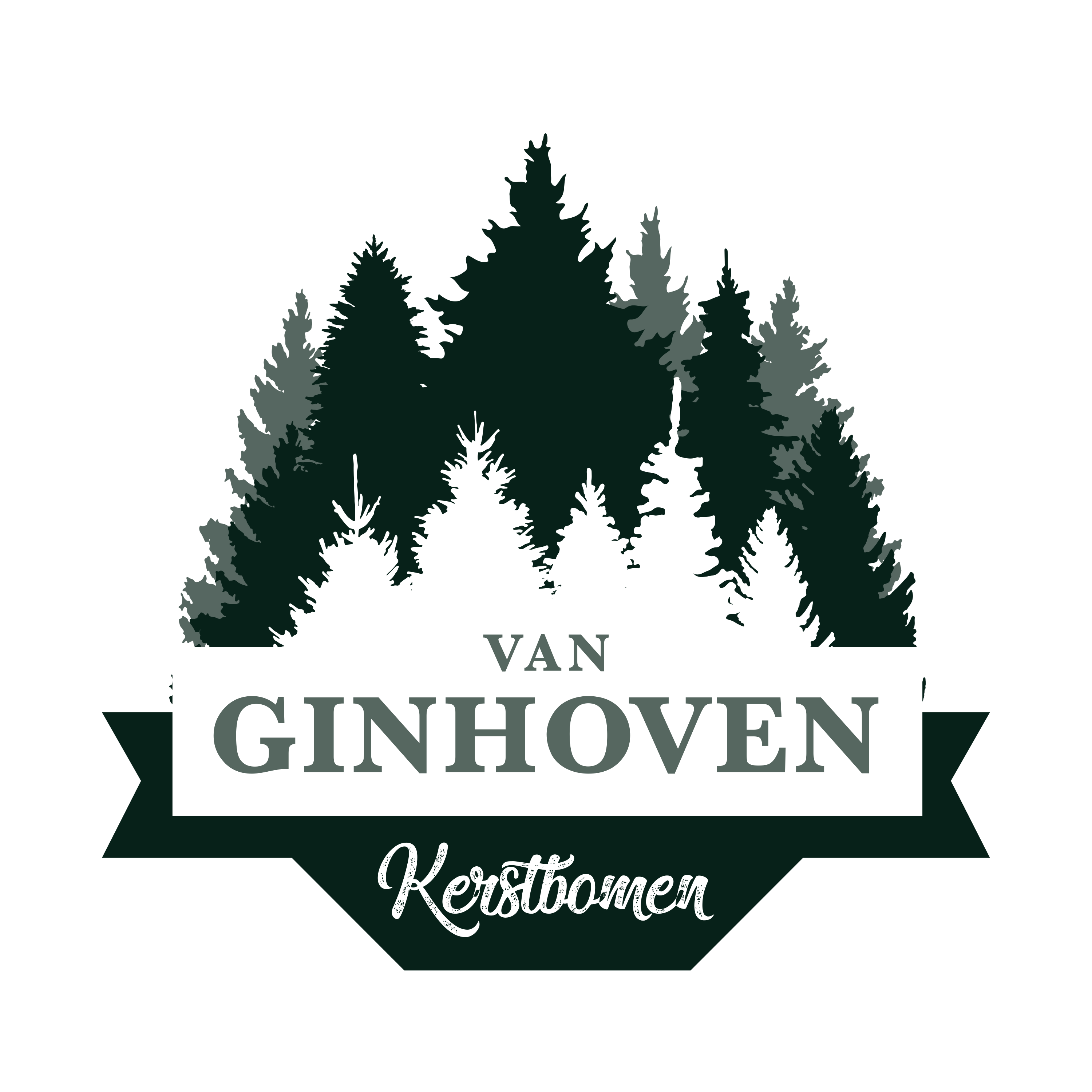 Kerstbomen Van Ginhoven